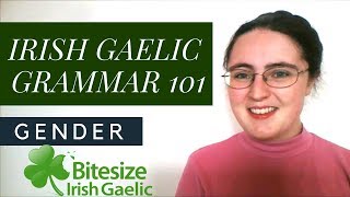 Irish Gaelic Grammar 101  Gender [upl. by Shriner373]