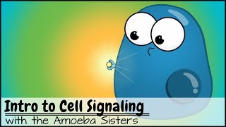 Intro to Cell Signaling [upl. by Frederique]