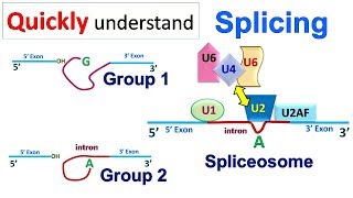 Splicing [upl. by Laehcor]