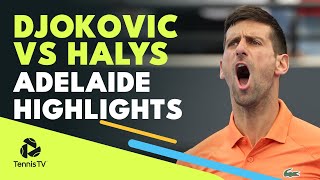 Novak Djokovic vs Quentin Halys  Adelaide 2022 Highlights [upl. by Shipman87]