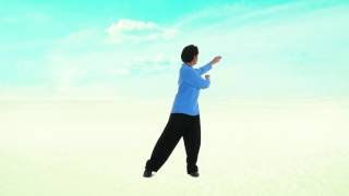 Perth Taichi Academy 18 Taiji Qigong [upl. by Romeu]