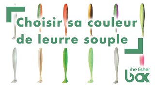 Comment choisir sa COULEUR de leurre souple [upl. by Aisat]