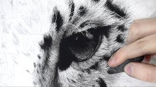 How To Draw A Realistic Animal Eye  Full Tutorial [upl. by Haim]