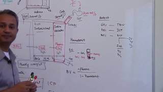 Calculation of Blood Volume [upl. by Nesiaj]