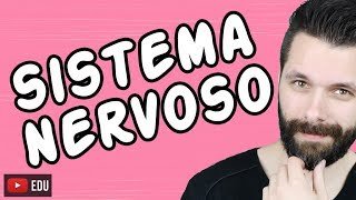 SISTEMA NERVOSO  FISIOLOGIA  Aula  Biologia com Samuel Cunha [upl. by Nodrog]