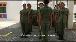 Drill Video  Kekanan Lurus [upl. by Celle]