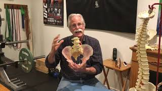 Stuart McGill Explains Spine Instability amp Core Stability [upl. by Hindorff]