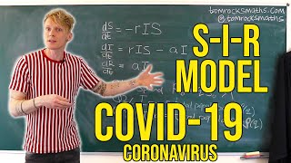 Oxford Mathematician explains SIR Disease Model for COVID19 Coronavirus [upl. by Mungo]