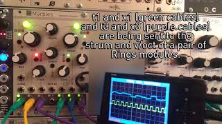 Mutable Instruments Marbles Overview [upl. by Hnahk85]