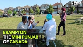 Always Trippin Episode 4  Brampton  The Mini Punjab Of Canada  Curly Tales [upl. by Drahsar]