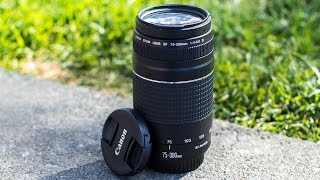 5 Reasons Why You SHOULD Consider The Canon 75300mm Lens [upl. by Balfour399]