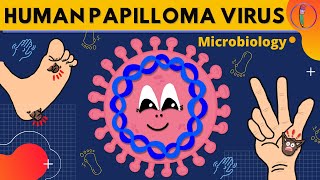 Human Papilloma Virus Microbiology  Morphology Clinical presentations Diagnosis Treatment [upl. by Ayotl975]