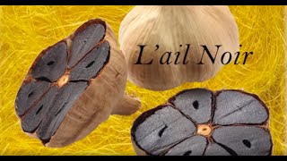 RECETTE AMOS MAIA  LAIL NOIR [upl. by Morry]