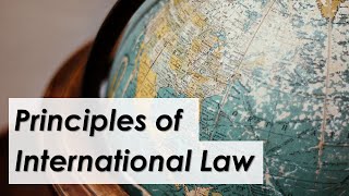 Main principles governing the international legal system  LexIcon [upl. by Llirrem792]