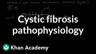 Cystic fibrosis pathophysiology  Respiratory system diseases  NCLEXRN  Khan Academy [upl. by Sluiter]