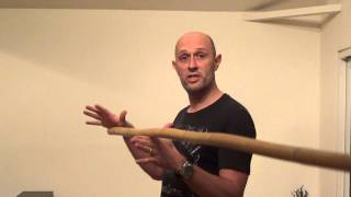 How to hold the quarterstaff [upl. by Akcira]