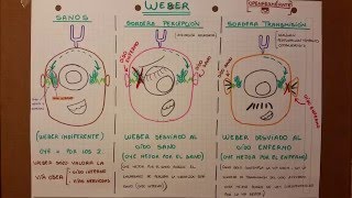 PRUEBA DE WEBER [upl. by Nhor209]