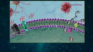 Amyloid Beta Processing [upl. by Stearne]