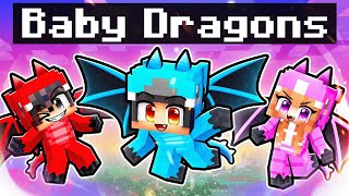 We Turned Into BABY DRAGONS In Minecraft [upl. by Ettevi]