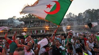 Réactions à Alger après la victoire de lAlgérie en Coupe dAfrique des nations 10 [upl. by Tram]