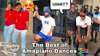 🎶THE BEST OF AMAPIANO DANCES 💃2021 [upl. by Latimore752]