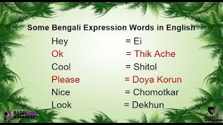 Learn Bengali Frequently Used Expression Words In English [upl. by Icam617]