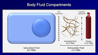 IV Fluids Lesson 1  Basic Principles [upl. by Ahsaret]