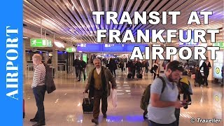 TRANSIT WALK AT FRANKFURT Airport FRA Terminal 1  Connection Flight Transfer Arriving amp Departing [upl. by Arymat]