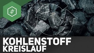 Kohlenstoffkreislauf – Stoffkreisläufe 3 [upl. by Nnylkoorb]